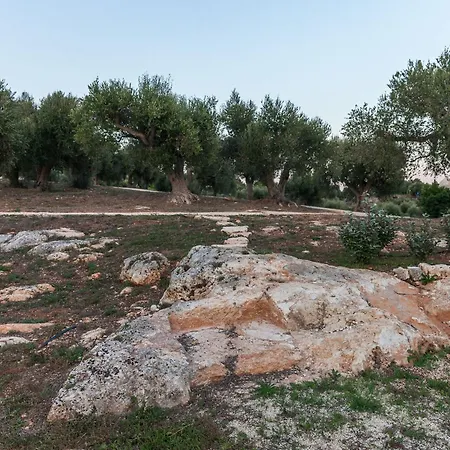 Trullo In With Infinity Pool * Cisternino