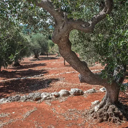 Trullo In With Infinity Pool Semesterbostad *
